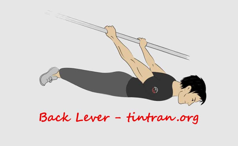 back-lever-feature-tintran