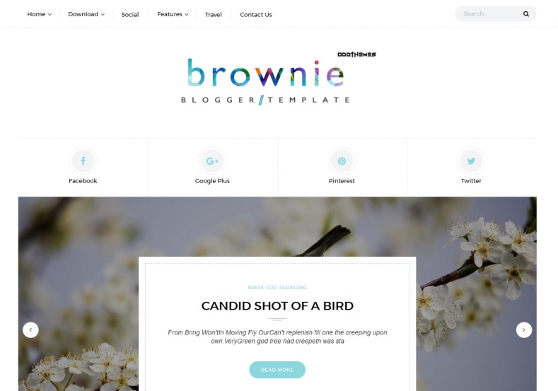 brownie personal blogger template